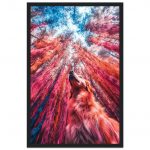 c73088c7-4f0f-47aa-b97b-59cf465de281