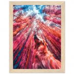 c77a5e10-cf65-4df9-8586-4e96f12e3c30