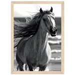 c8539d13-0a46-4499-9ac7-9a381f944f11