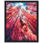 c8b8c253-9367-4152-8004-736917542abf