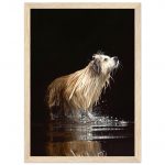 c94f124a-5401-407b-bcdc-b795e80e9a29