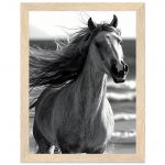 c9a1bd04-8f24-4fe6-89da-443ef637d7a3