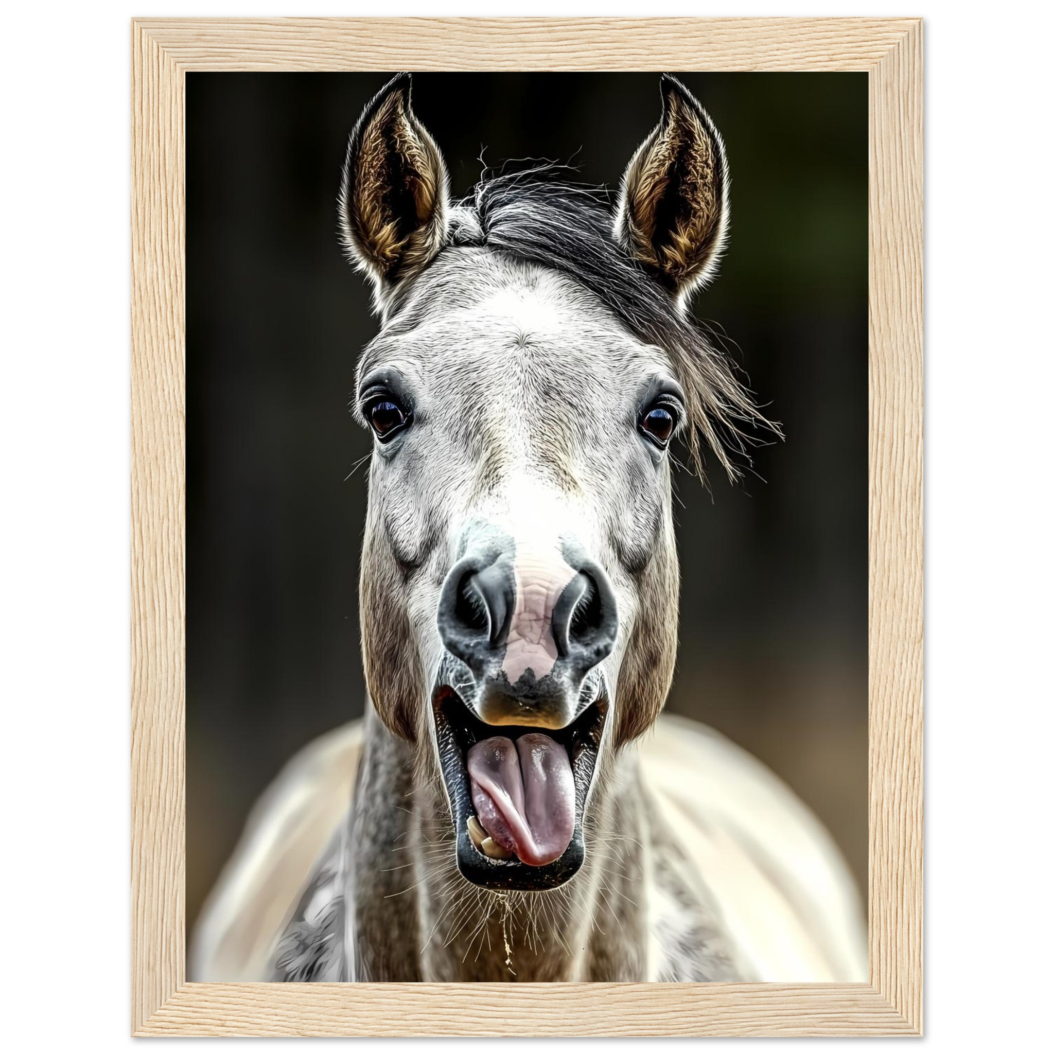 c9ed8d52-436f-4719-9d46-2f29efe73ade