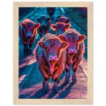 ca29f27a-c26e-49a9-b491-0715a880baf4