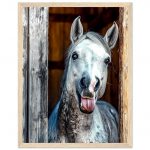 cfa2fd9f-f8fb-4d65-b341-e471d8378617