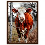 cfa854ef-482f-405b-a5f5-1732ced718b2