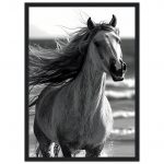 d042d2d1-3da5-4425-91d1-fa549432b6c4