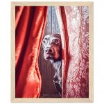 d16ef8ce-da96-4550-bd25-0280a5fedeb6