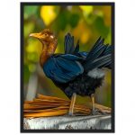 d17ca96f-0cb8-4342-819d-ff0c5640d5ec