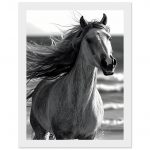 d31c8e53-1510-46c0-8b14-4ab8b60c56de