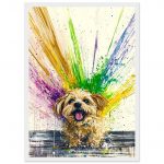 d360d9dd-4da4-4773-b114-5d46b6d6b6f9