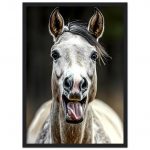 d88b88a6-0828-46fc-b57c-91e7a934bbdb