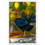 d8ab648c-bd28-43e4-8bb9-5dcd24c7af9f