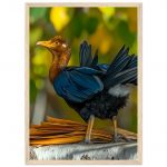 d94d561b-1c74-4663-a64c-ecc0b4b28472