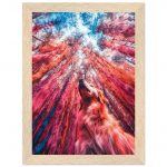 d9adc47c-cd41-407c-abb0-102c37fb6dda