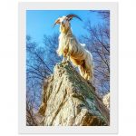 db2d4d04-d039-4400-99f3-0ac67f5a28cb