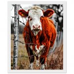 dc041aca-fecf-42f1-b5a3-5f0bd79e2c71