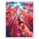 dc6dfe7c-0086-4d71-9b83-94a6f0d09669