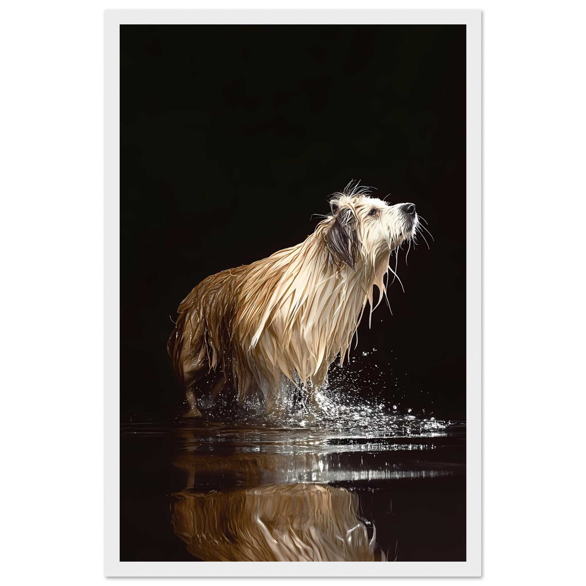 dce0caca-e163-42bf-96c9-b68f063c7a90