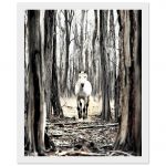 df2e2820-1656-4eb1-8d7d-ef54fed10295