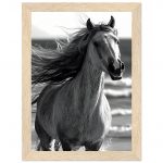 dfa08bcb-8c2f-4b21-9cfe-2c6eeab1cd6b