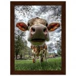 e1392851-a055-4ce9-94d7-af4f3254f938