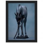 e23cbf69-b8cd-47ba-abc0-93bff6314ba1