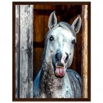 e2c18c8c-cf7d-4811-9d90-e3c53c90f4a8