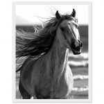 e2c2bcb2-b9a6-453e-9743-e3cab76e6066