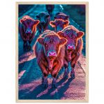 e4e7a04c-dc45-4909-b87b-335731241c48