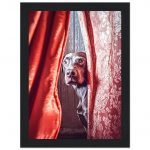 e62ee82a-24e9-46de-a690-2a173dd7428e