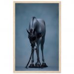 e7e08327-3865-4c24-808a-20a2ef8b57c7