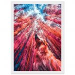 e832051e-9813-4d92-acc9-a2c65f2302c6