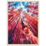 eb449d2f-54ff-4735-a004-b1015a26afa2