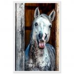 ebdc09ea-3da7-4c85-b481-9e3d8e176135