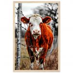 ec1e5d6a-ed24-41d2-ba07-f70d111b8c6f