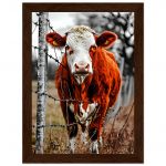 ed59da7f-824b-4256-8f31-836c983dae4e