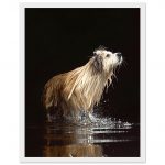 eeddc668-6101-4b46-bd50-1211e9402903