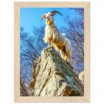 f1c30d28-a55f-460a-bafa-4d56101ec960