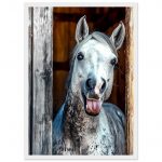 f517bf94-8fdd-434c-a990-fbdff838050f