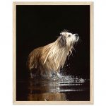 f5aab593-c101-4800-af3a-2d62ffd39236