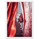 f63c1207-7b07-4f95-896e-5a154172d9bf