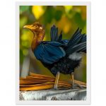 f7ea88e3-269a-4616-8b39-842e5187cd23