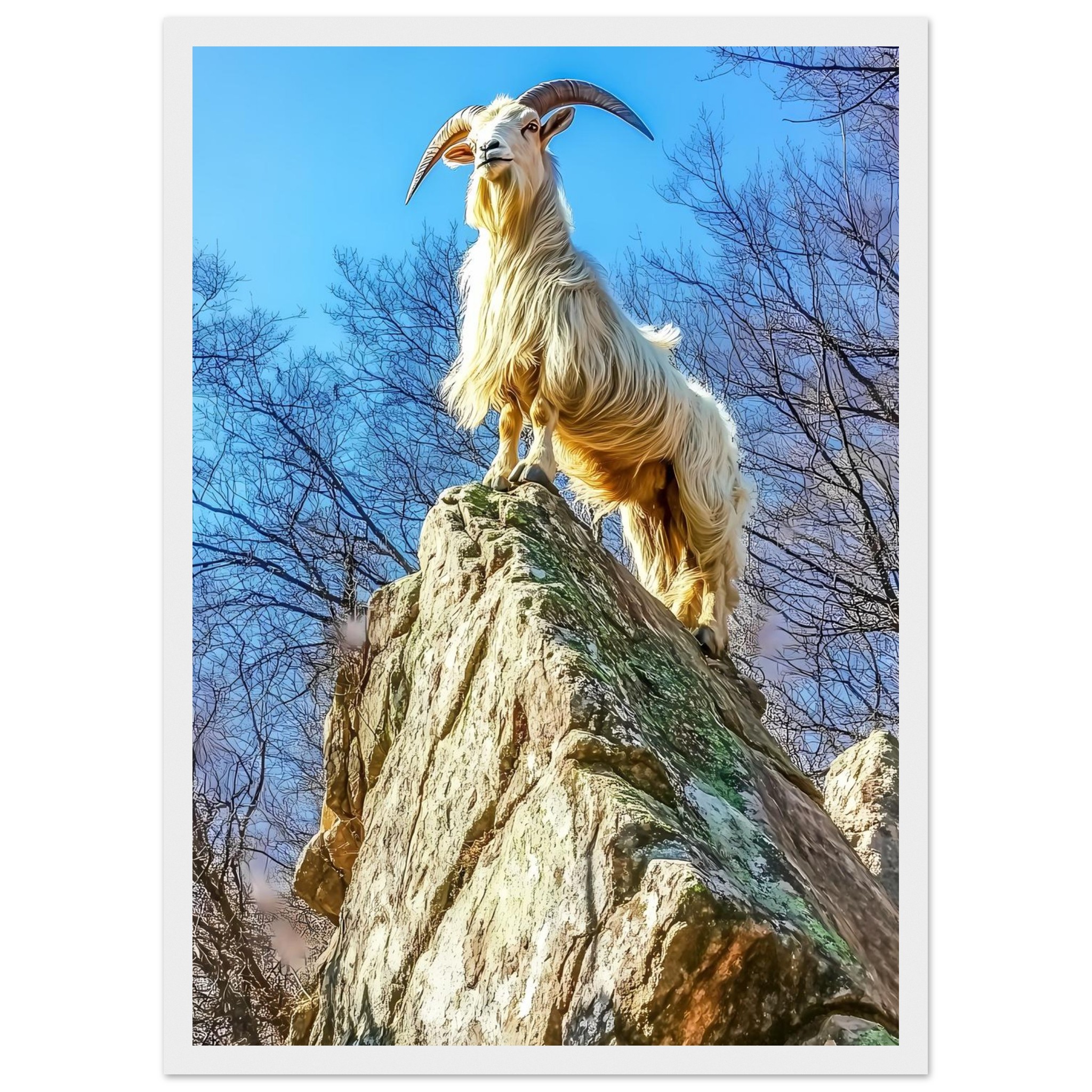 f87d937f-b8e1-461c-af0d-5ad63c38df95