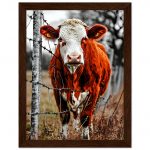 fb522055-e52d-4b84-b010-cf172206eac1