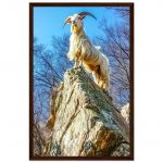 fd021d6c-8268-44d0-8c9d-08bee65637ba