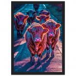 fd31f7a9-cd1d-437a-adb4-21b9e173b8ba