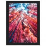 fe69ef67-f450-4530-919d-4ca5f4bd514f