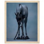 ffa9186b-4918-425b-9f67-ce8632e51065