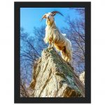 ffc3eade-ee15-4e0c-aad5-933e57a98fa7